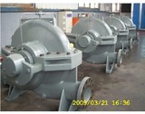 Single-Stage Double Suction Centrifugal Pump (S)