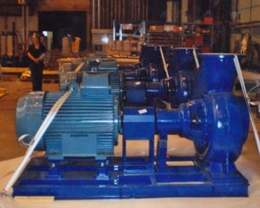 End Suction Stainless Steel Pump with Baseplate